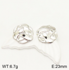 Stainless steel jewelry Earrings wholesale