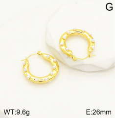 Stainless steel jewelry Earrings wholesale