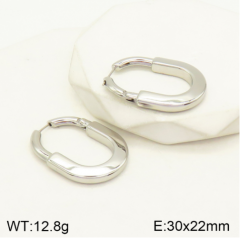 Stainless steel jewelry Earrings wholesale