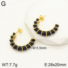 Stainless steel jewelry Earrings wholesale