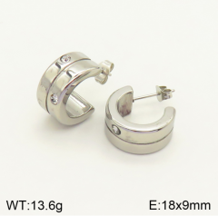 Stainless steel jewelry Earrings wholesale