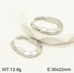 Stainless steel jewelry Earrings wholesale