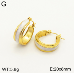 Stainless steel jewelry Earrings wholesale