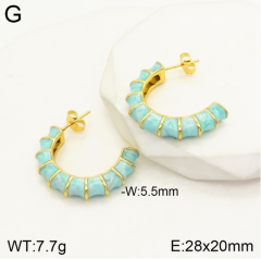 Stainless steel jewelry Earrings wholesale