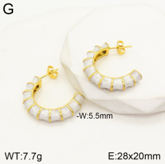 Stainless steel jewelry Earrings wholesale