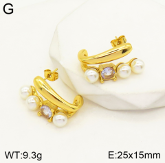 Stainless steel jewelry Earrings wholesale