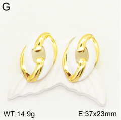 Stainless steel jewelry Earrings wholesale