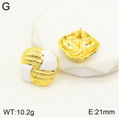 Stainless steel jewelry Earrings wholesale