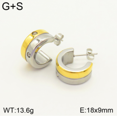 Stainless steel jewelry Earrings wholesale