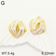 Stainless steel jewelry Earrings wholesale