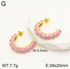 Stainless steel jewelry Earrings wholesale