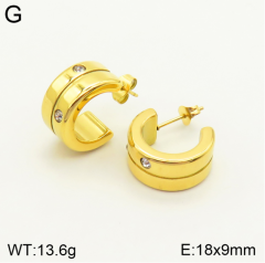 Stainless steel jewelry Earrings wholesale