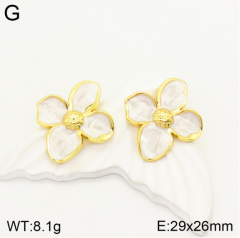 Stainless steel jewelry Earrings wholesale