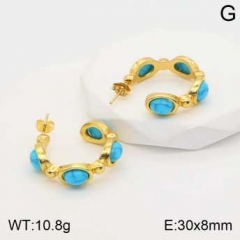 Stainless steel jewelry Earrings wholesale