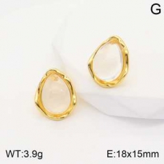 Stainless steel jewelry Earrings wholesale