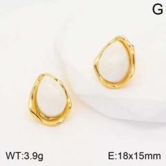 Stainless steel jewelry Earrings wholesale