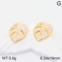 Stainless steel jewelry Earrings wholesale