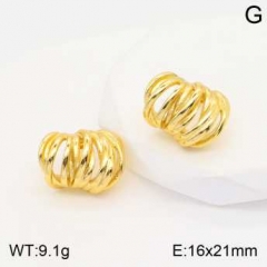 Stainless steel jewelry Earrings wholesale