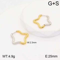 Stainless steel jewelry Earrings wholesale