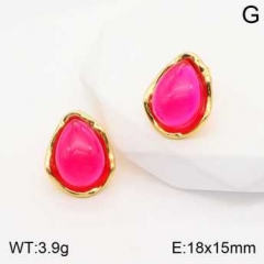 Stainless steel jewelry Earrings wholesale