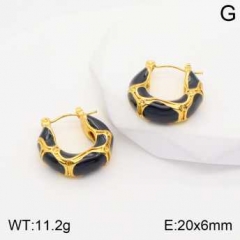 Stainless steel jewelry Earrings wholesale