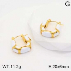 Stainless steel jewelry Earrings wholesale