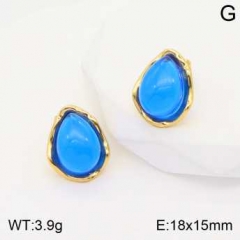 Stainless steel jewelry Earrings wholesale