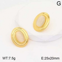 Stainless steel jewelry Earrings wholesale