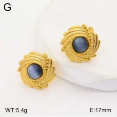 Stainless steel jewelry Earrings wholesale