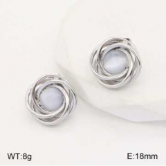 Stainless steel jewelry Earrings wholesale