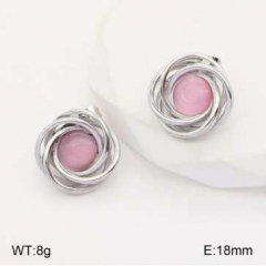 Stainless steel jewelry Earrings wholesale