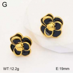 Stainless steel jewelry Earrings wholesale