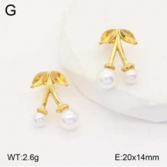 Stainless steel jewelry Earrings wholesale