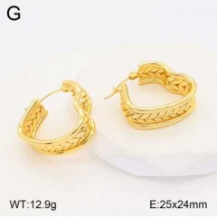 Stainless steel jewelry Earrings wholesale