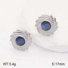 Stainless steel jewelry Earrings wholesale