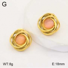 Stainless steel jewelry Earrings wholesale