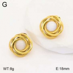 Stainless steel jewelry Earrings wholesale