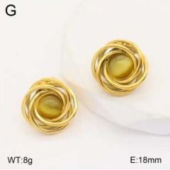 Stainless steel jewelry Earrings wholesale