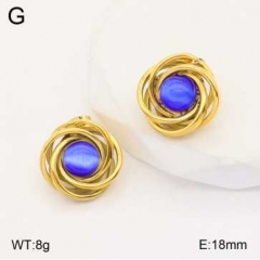 Stainless steel jewelry Earrings wholesale