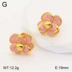 Stainless steel jewelry Earrings wholesale