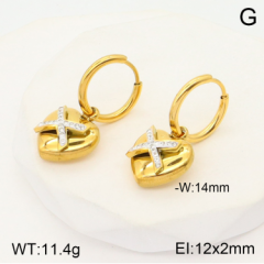 Stainless steel jewelry Earrings wholesale