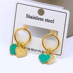 Stainless steel jewelry Earrings wholesale