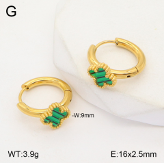 Stainless steel jewelry Earrings wholesale