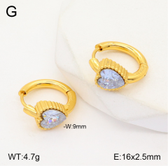 Stainless steel jewelry Earrings wholesale