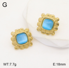 Stainless steel jewelry Earrings wholesale