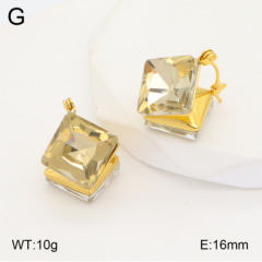 Stainless steel jewelry Earrings wholesale