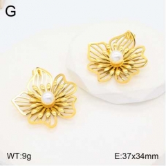 Stainless steel jewelry Earrings wholesale