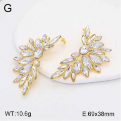 Stainless steel jewelry Earrings wholesale