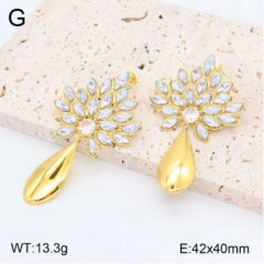 Stainless steel jewelry Earrings wholesale