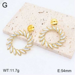 Stainless steel jewelry Earrings wholesale
